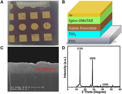 Diagnosis of Perovskite Solar Cells Through Absolute Electroluminescence-Efficiency Measurements